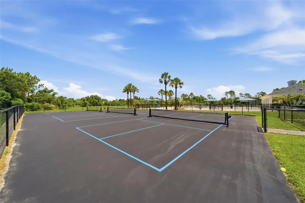 5234 Turtle Bay Drive Wesley Chapel FL 33545