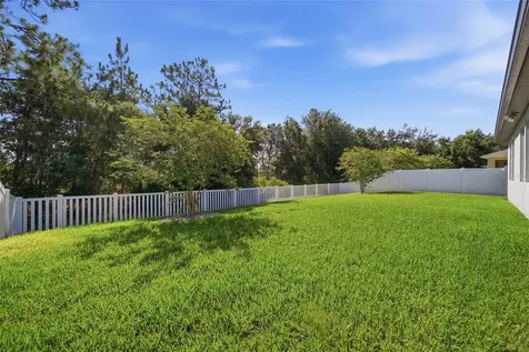 5234 Turtle Bay Drive Wesley Chapel FL 33545