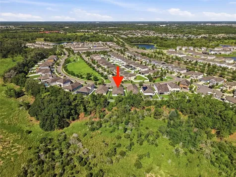 5234 Turtle Bay Drive Wesley Chapel FL 33545