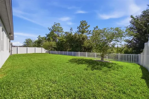 5234 Turtle Bay Drive Wesley Chapel FL 33545
