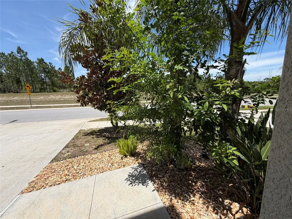 3816 Hanover Drive New Port Richey FL 34653