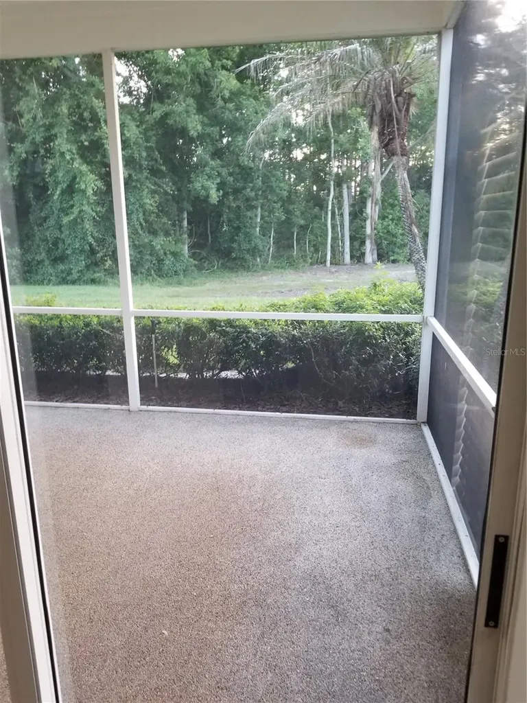 9126 Rockrose Drive Tampa FL 33647