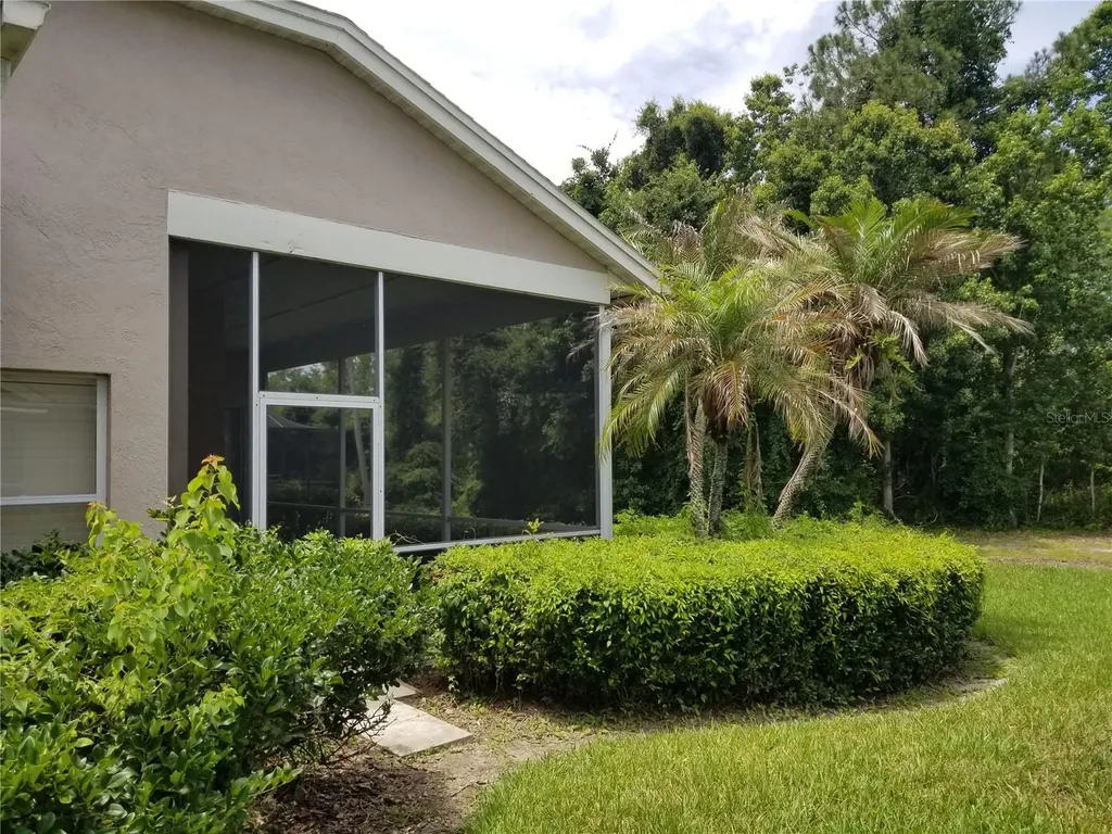 9126 Rockrose Drive Tampa FL 33647