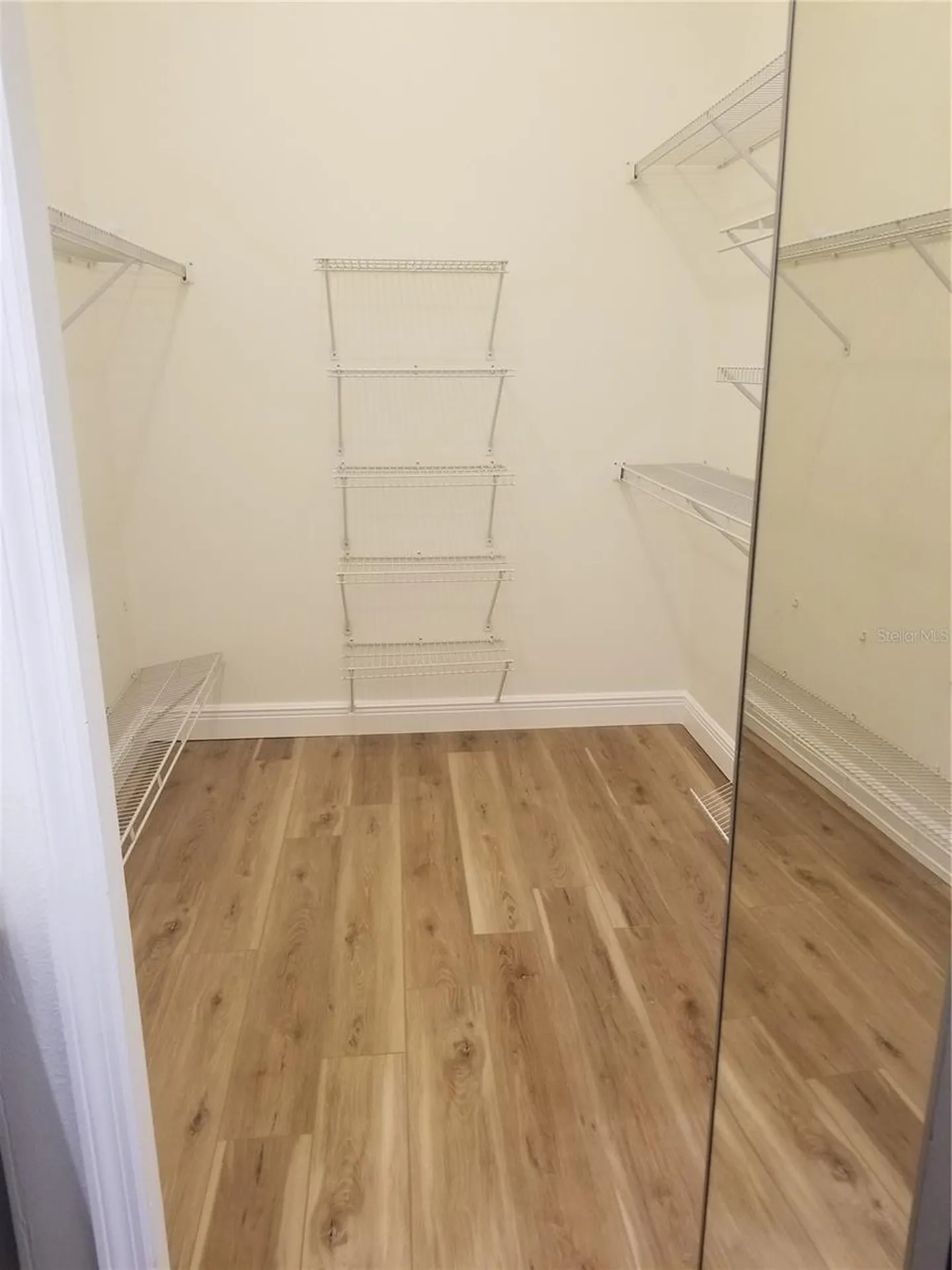 9126 Rockrose Drive Tampa FL 33647