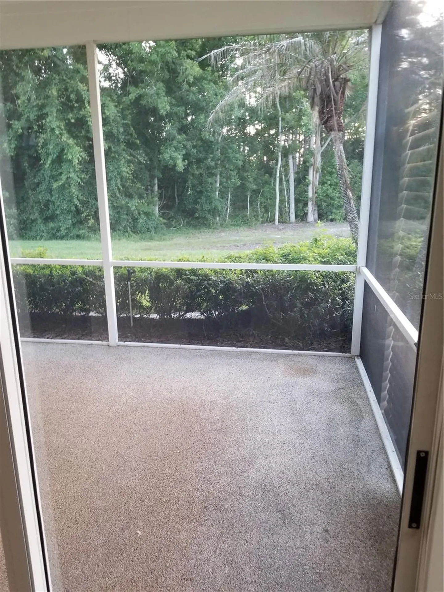 9126 Rockrose Drive Tampa FL 33647