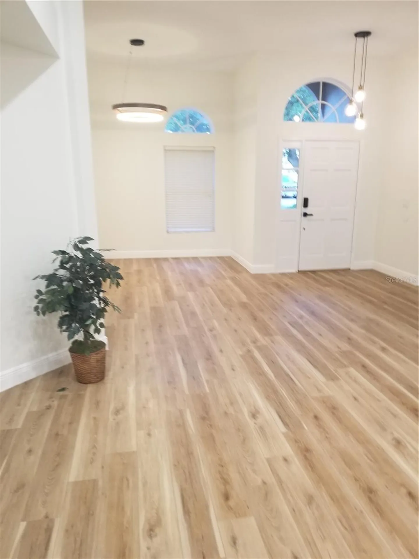 9126 Rockrose Drive Tampa FL 33647