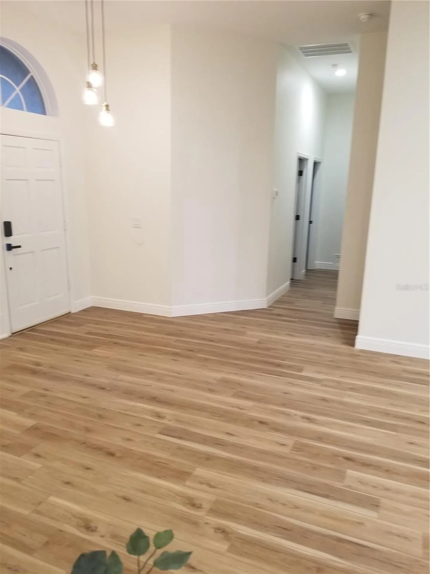 9126 Rockrose Drive Tampa FL 33647