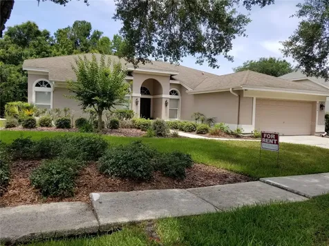 9126 Rockrose Drive Tampa FL 33647