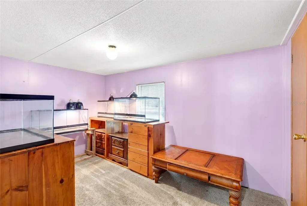 16240 NE 141st Terrace Fort Mc Coy FL 32134