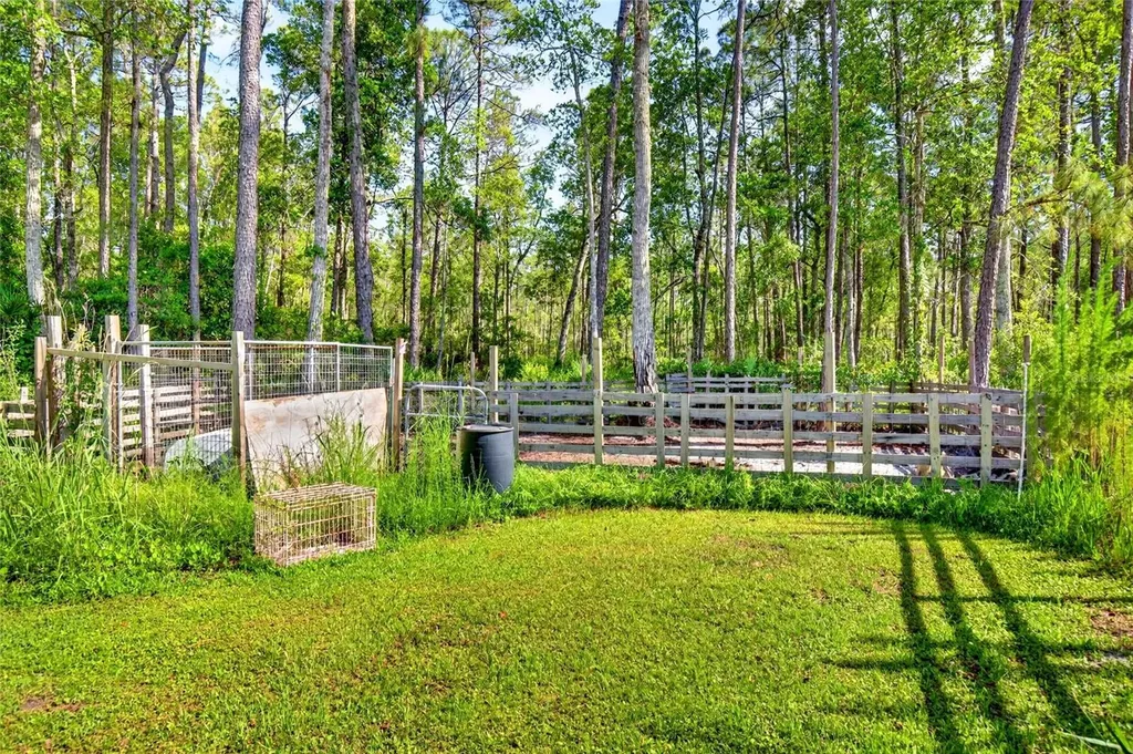 16240 NE 141st Terrace Fort Mc Coy FL 32134