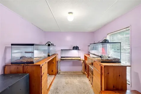 16240 NE 141st Terrace Fort Mc Coy FL 32134