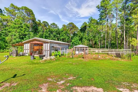 16240 NE 141st Terrace Fort Mc Coy FL 32134
