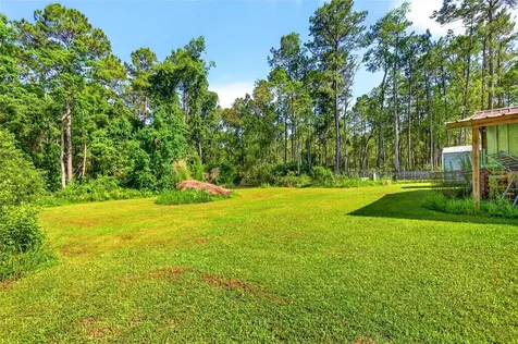 16240 NE 141st Terrace Fort Mc Coy FL 32134