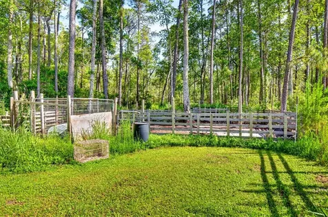 16240 NE 141st Terrace Fort Mc Coy FL 32134