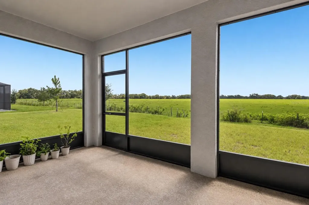 33508 Darley Dale Trail Wesley Chapel FL 33545
