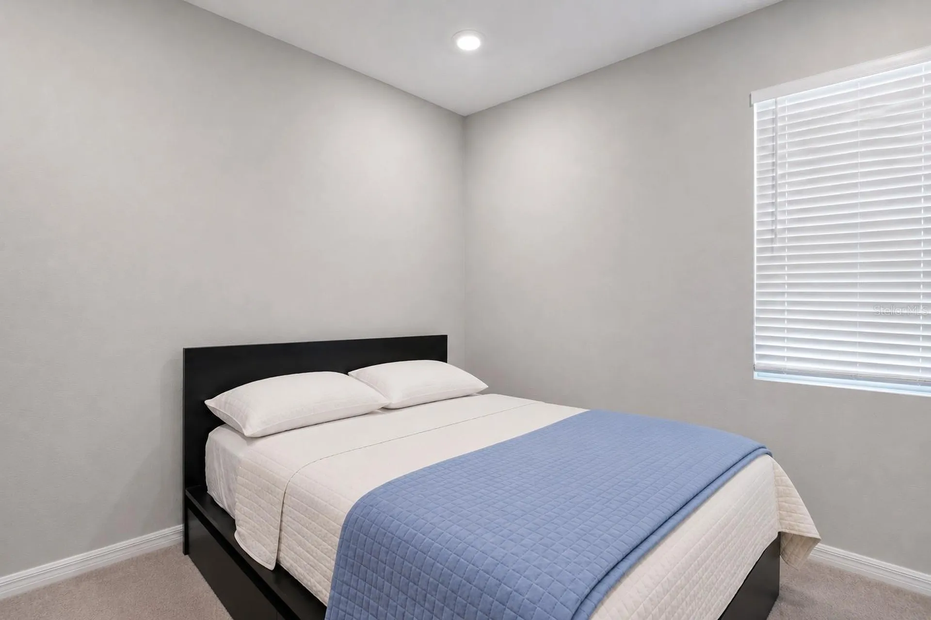 33508 Darley Dale Trail Wesley Chapel FL 33545