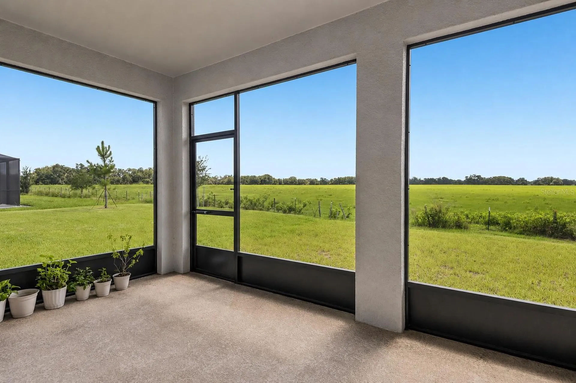 33508 Darley Dale Trail Wesley Chapel FL 33545