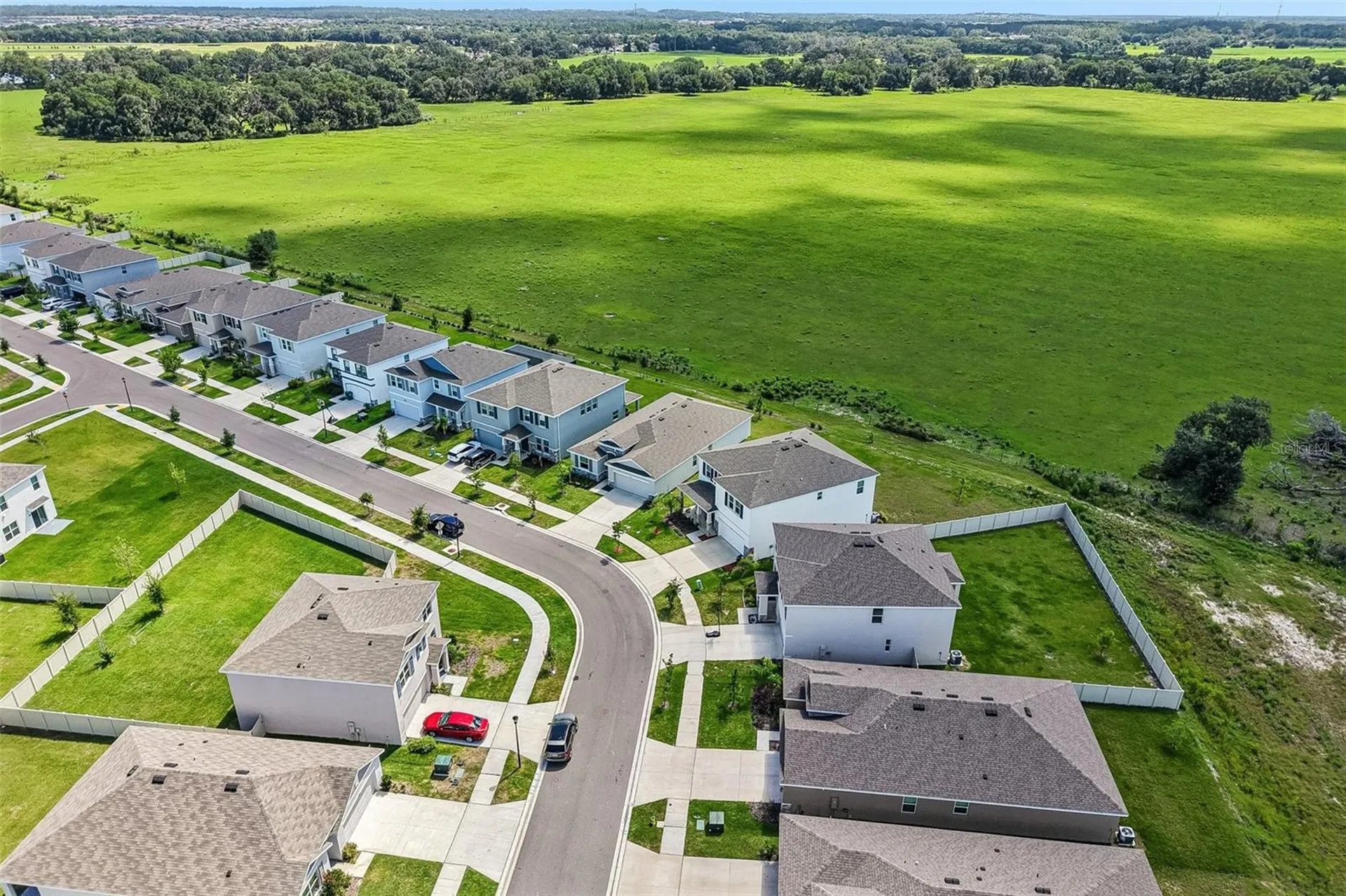 33508 Darley Dale Trail Wesley Chapel FL 33545