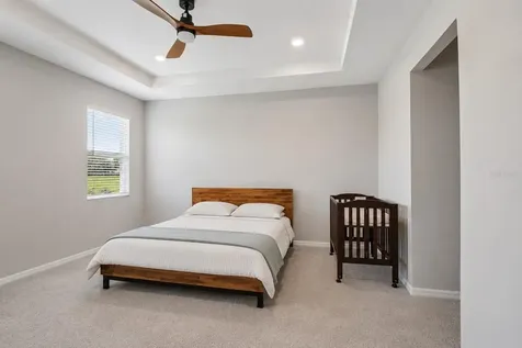 33508 Darley Dale Trail Wesley Chapel FL 33545