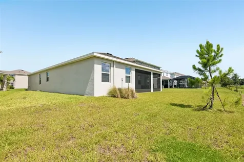 33508 Darley Dale Trail Wesley Chapel FL 33545