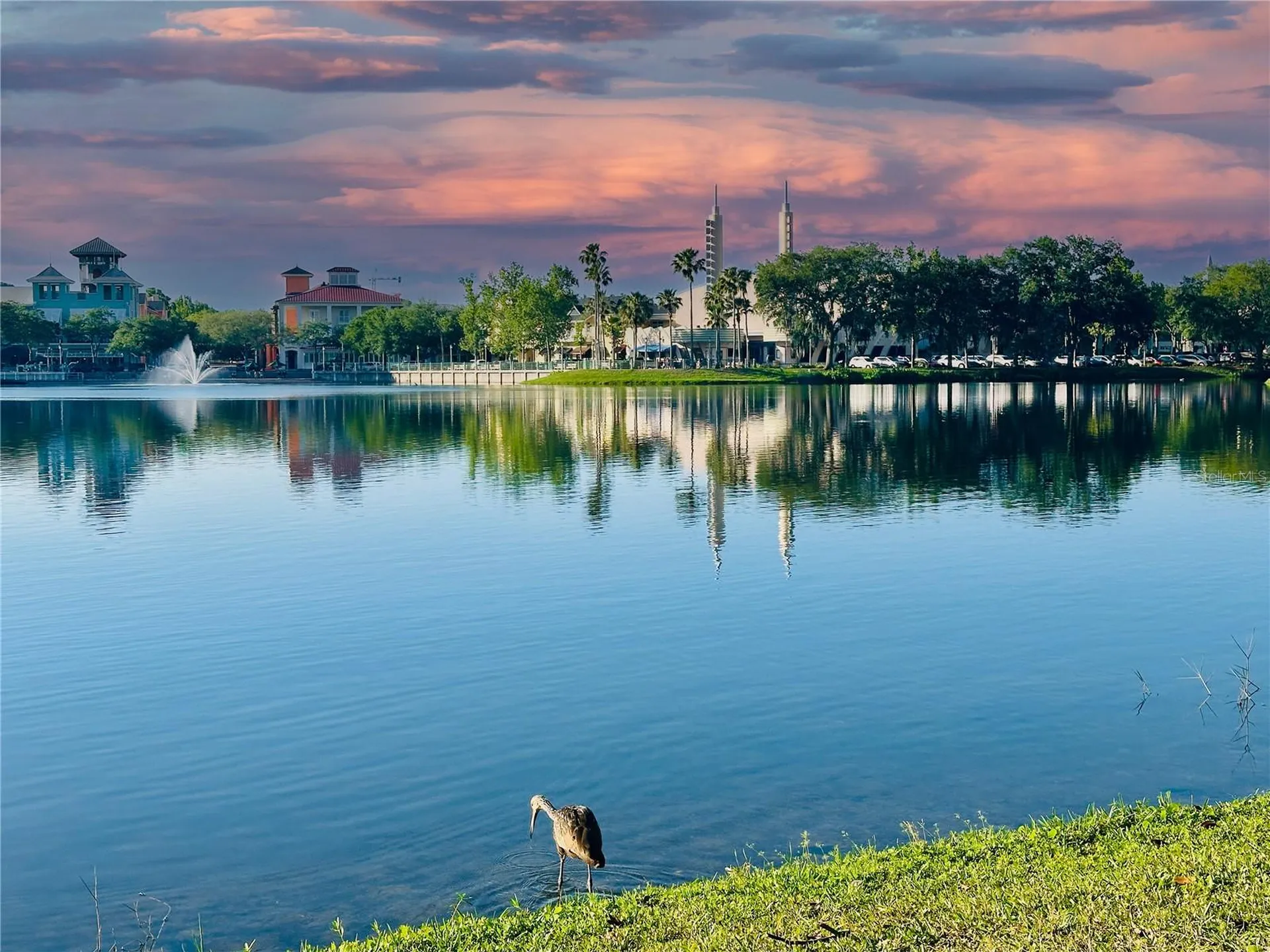 770 Siena Palm Drive Celebration FL 34747