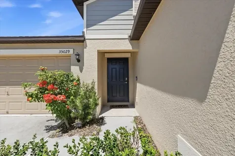35029 Brackett Bend Zephyrhills FL 33541