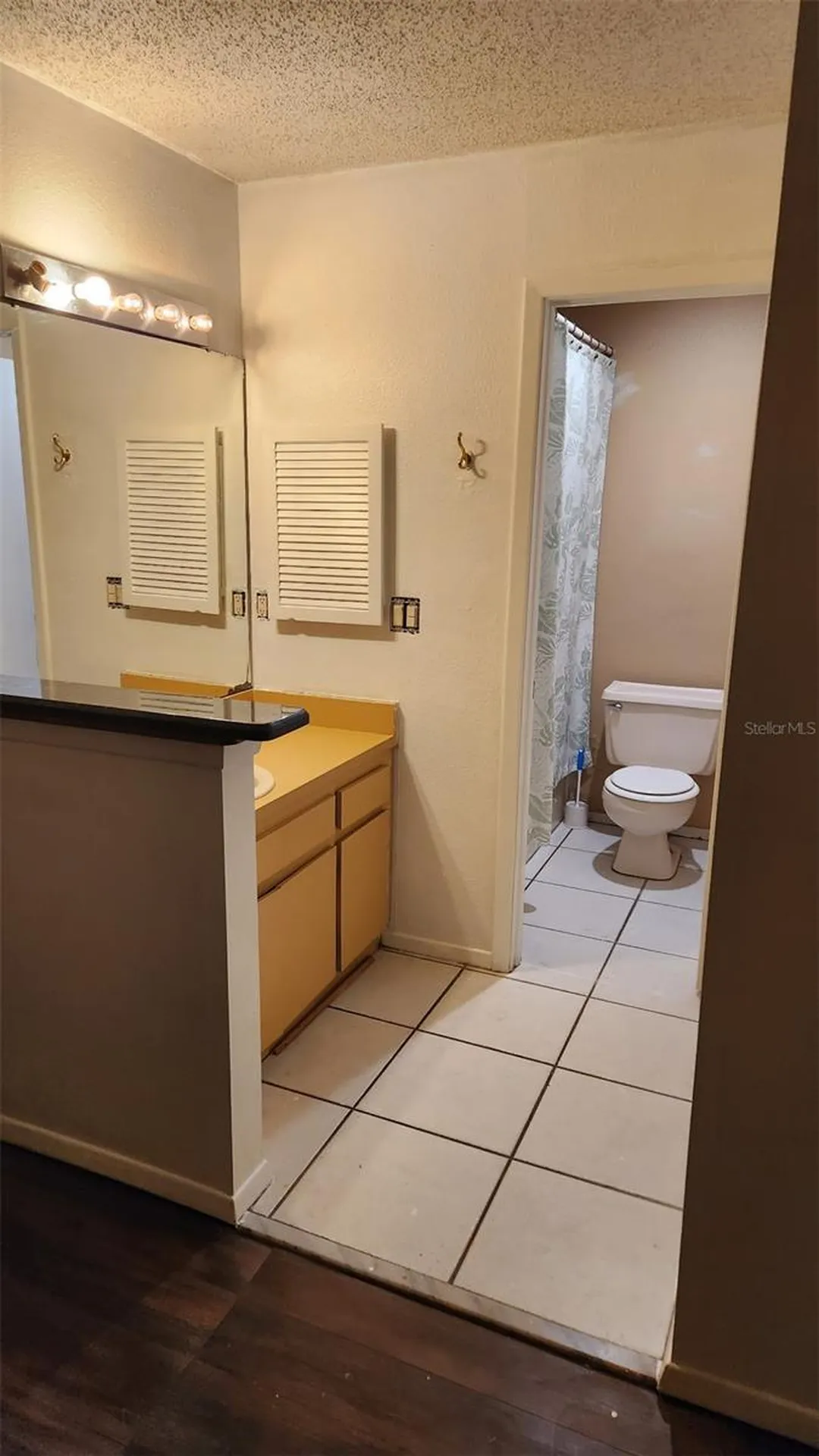 15711 Scrimshaw Drive Tampa FL 33624