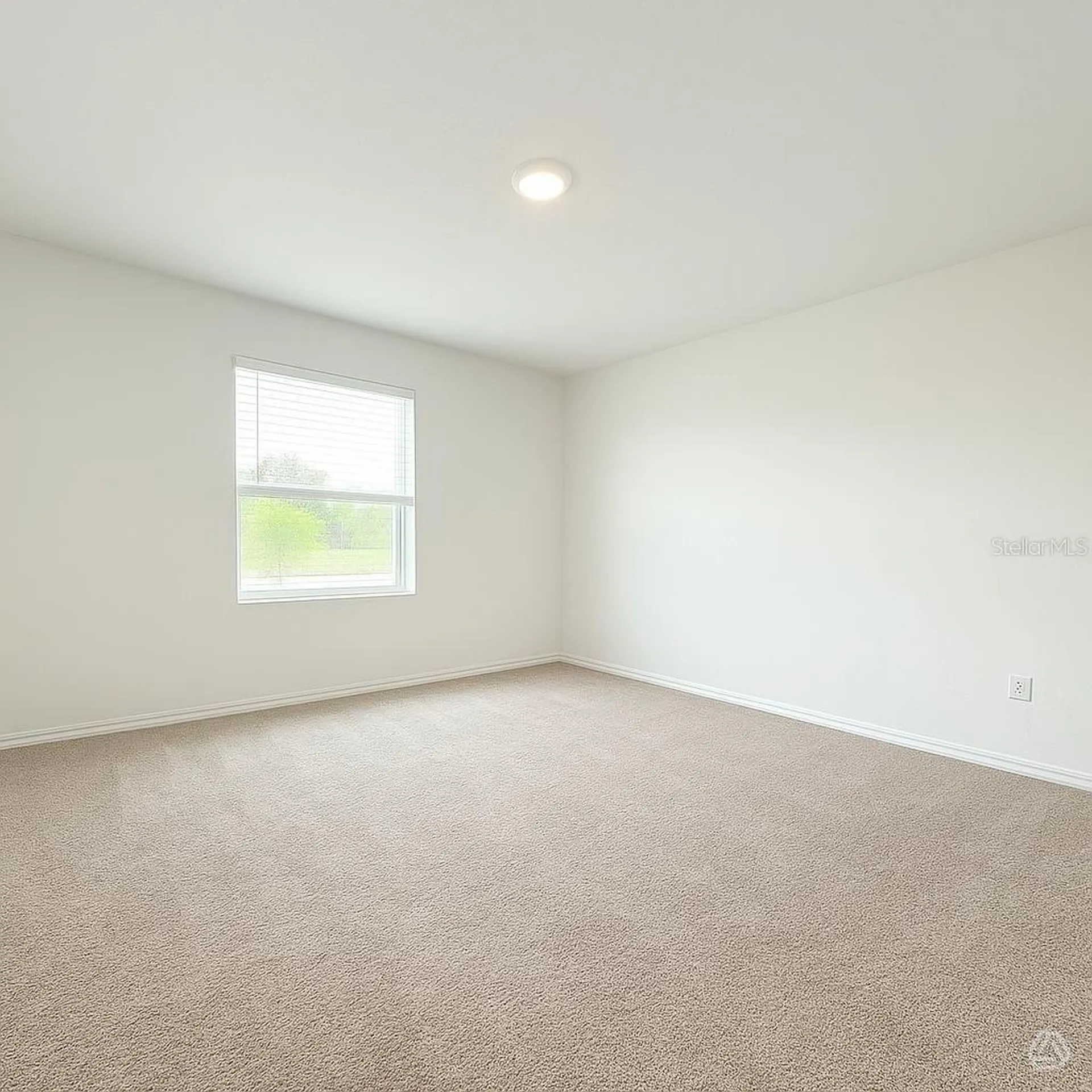 13037 Sassafras Trail Parrish FL 34219