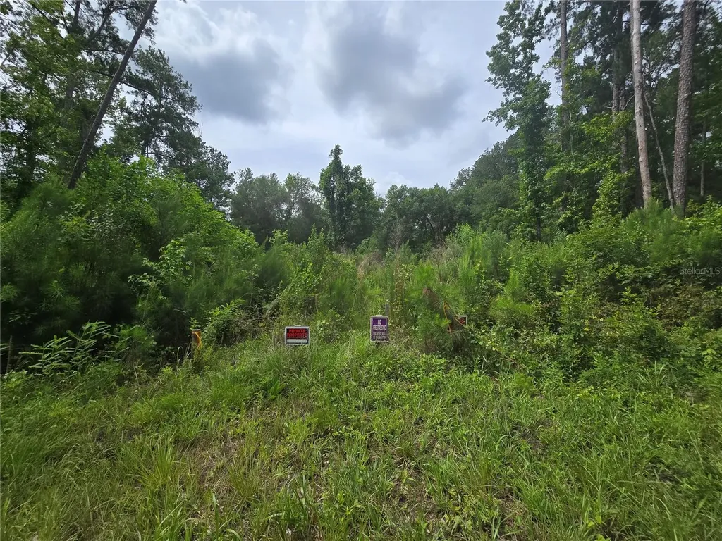 316 Sequoia Drive Ocklawaha FL 32179
