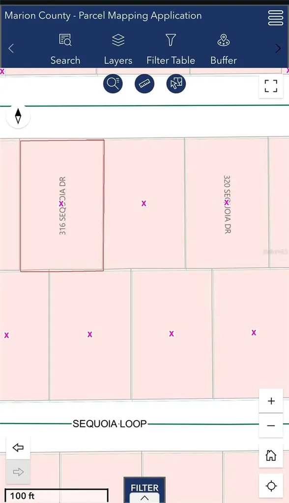 316 Sequoia Drive Ocklawaha FL 32179