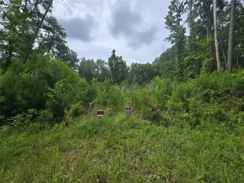 316 Sequoia Drive Ocklawaha FL 32179