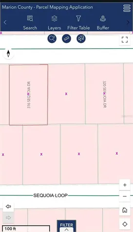 316 Sequoia Drive Ocklawaha FL 32179