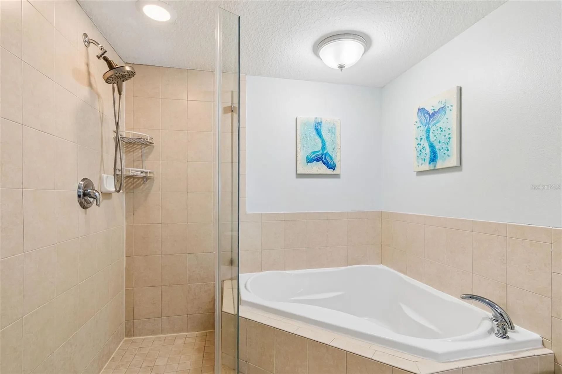 4516 Seagull Drive New Port Richey FL 34652