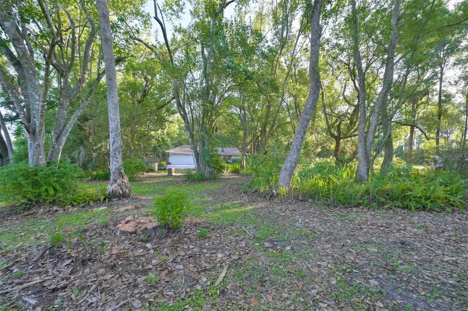 36625 Lake Pasadena Road Dade City FL 33525
