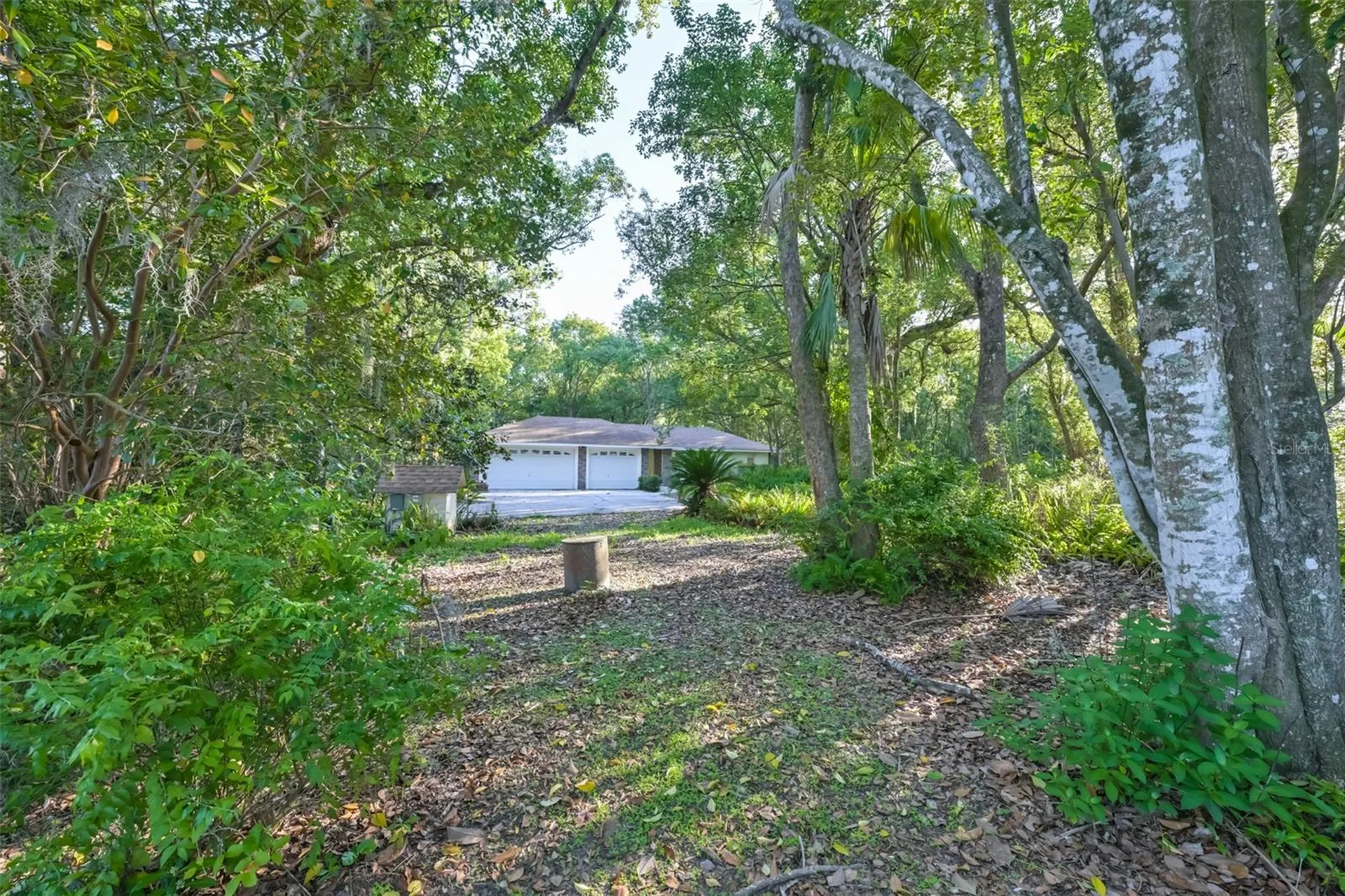 36625 Lake Pasadena Road Dade City FL 33525