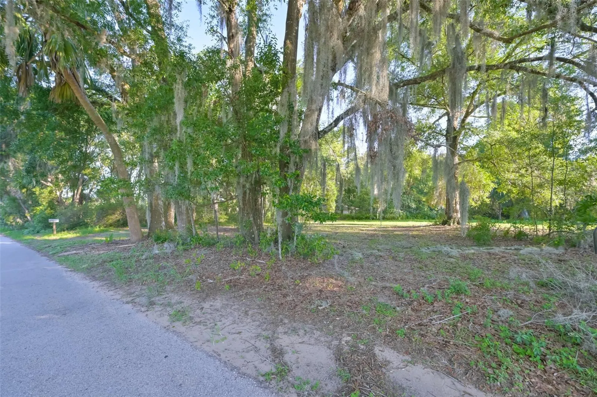 36625 Lake Pasadena Road Dade City FL 33525