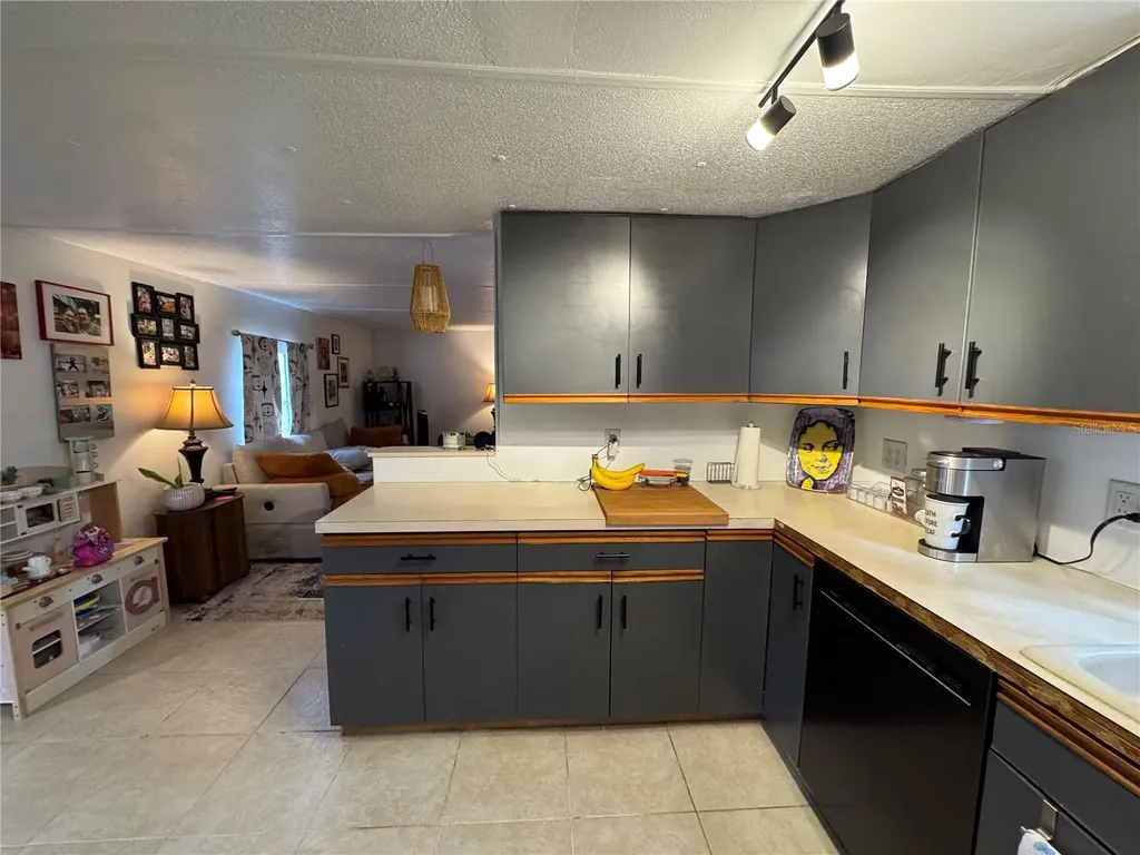 17336 Palm Drive Montverde FL 34756