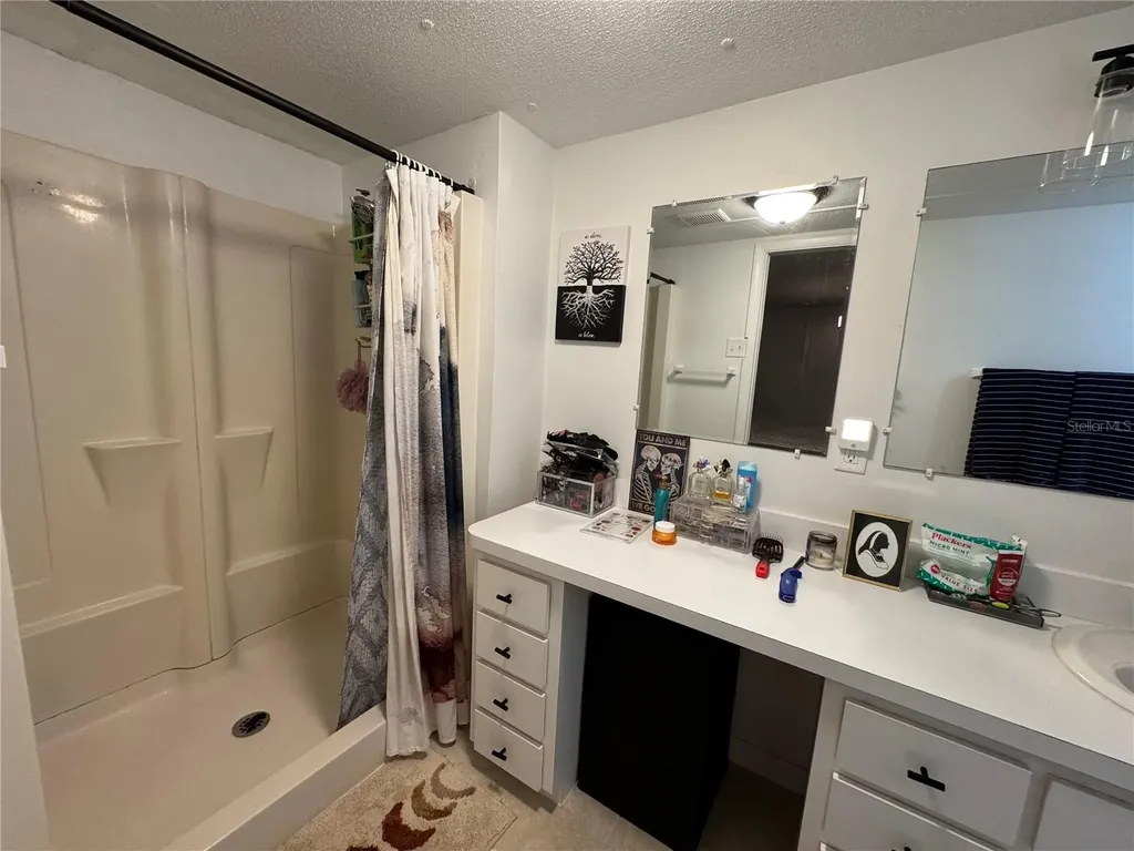 17336 Palm Drive Montverde FL 34756