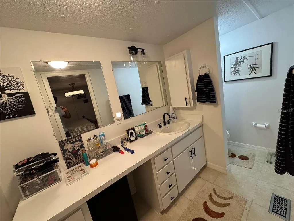 17336 Palm Drive Montverde FL 34756