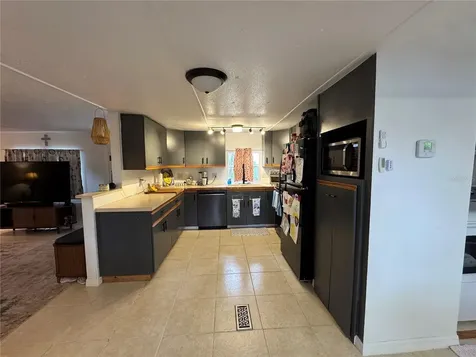 17336 Palm Drive Montverde FL 34756