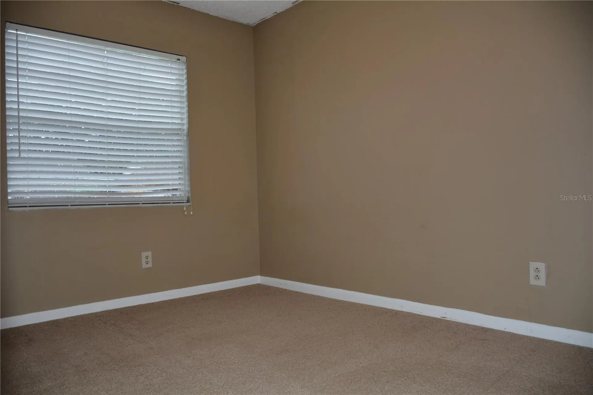 10002 Turkey Trot Place Tampa FL 33637