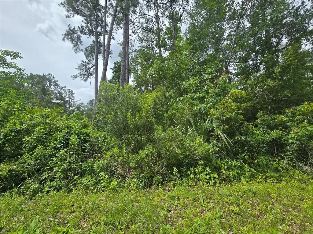 320 Sequoia Drive Ocala FL 34472