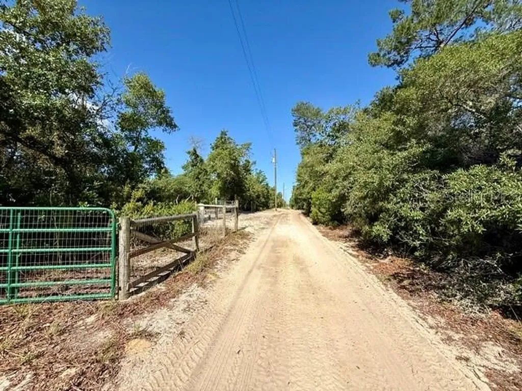 15920 NE 236th Lane Fort Mc Coy FL 32134