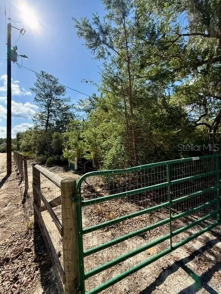 15920 NE 236th Lane Fort Mc Coy FL 32134