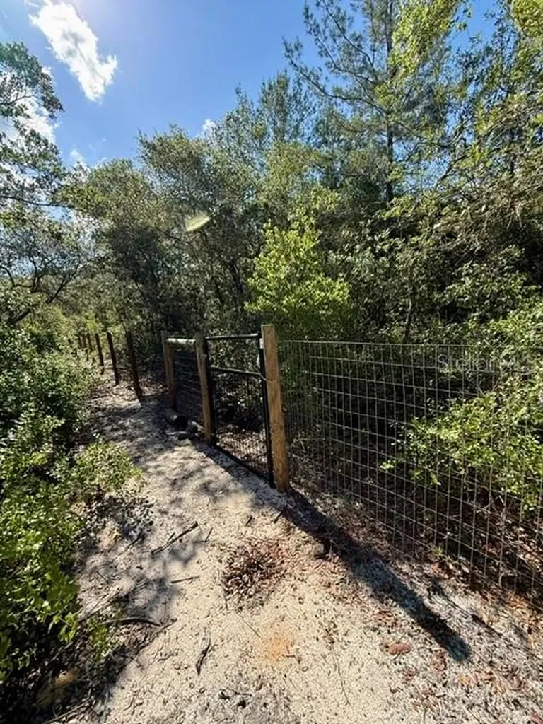 15920 NE 236th Lane Fort Mc Coy FL 32134