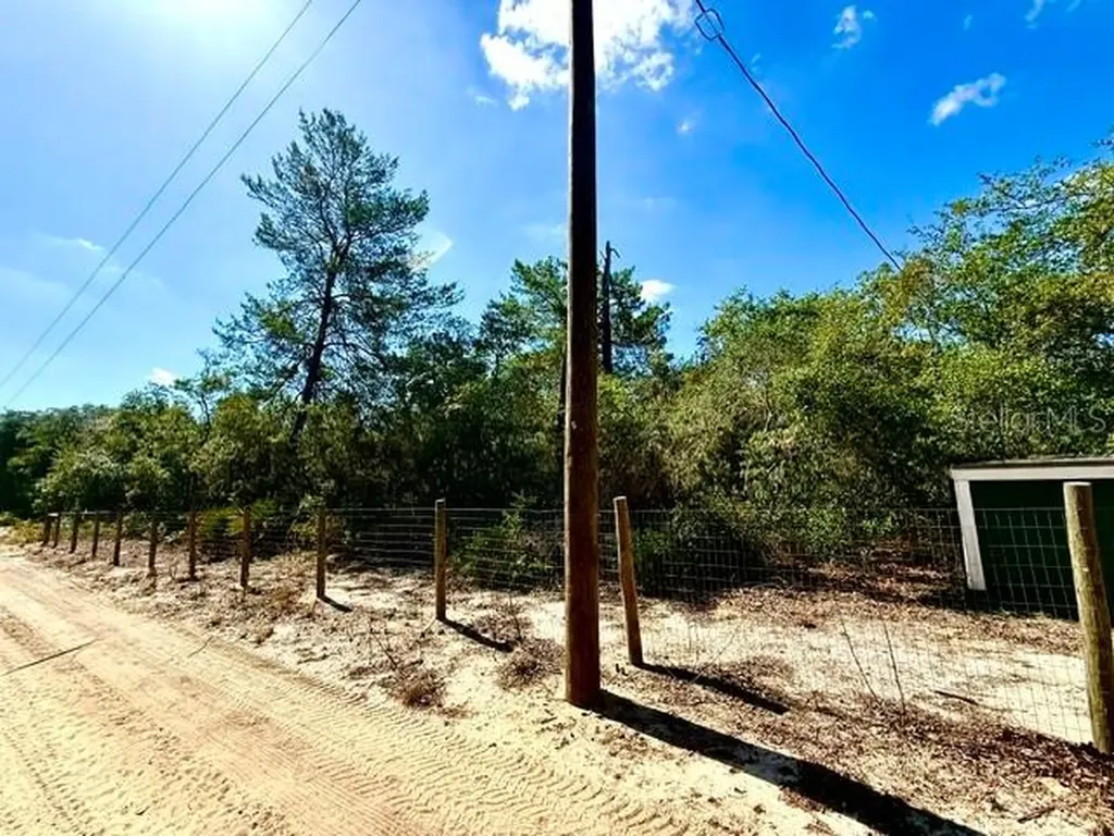 15920 NE 236th Lane Fort Mc Coy FL 32134