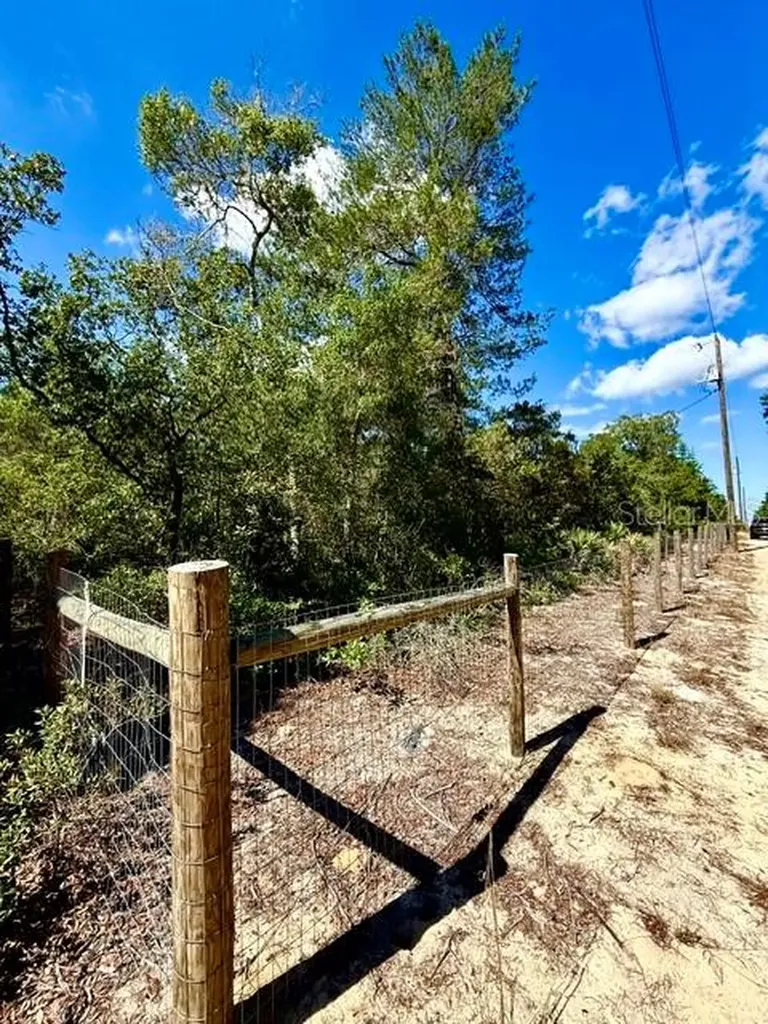 15920 NE 236th Lane Fort Mc Coy FL 32134