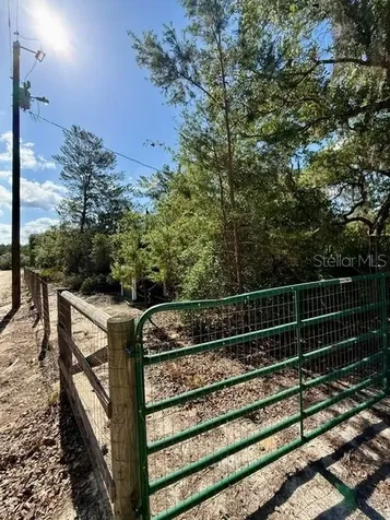 15920 NE 236th Lane Fort Mc Coy FL 32134