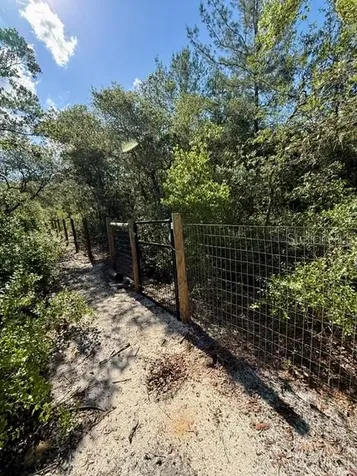 15920 NE 236th Lane Fort Mc Coy FL 32134