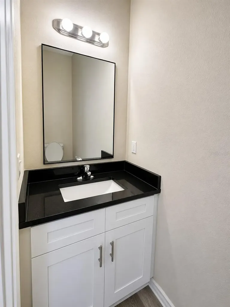 4347 Cambio Gardens Court Tampa FL 33610